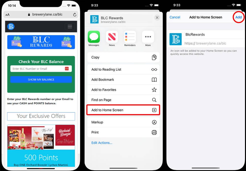 Install BLC app on iPhone